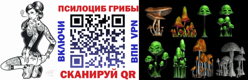 Псилоцибиновые грибы Cubensis  Ардатов 